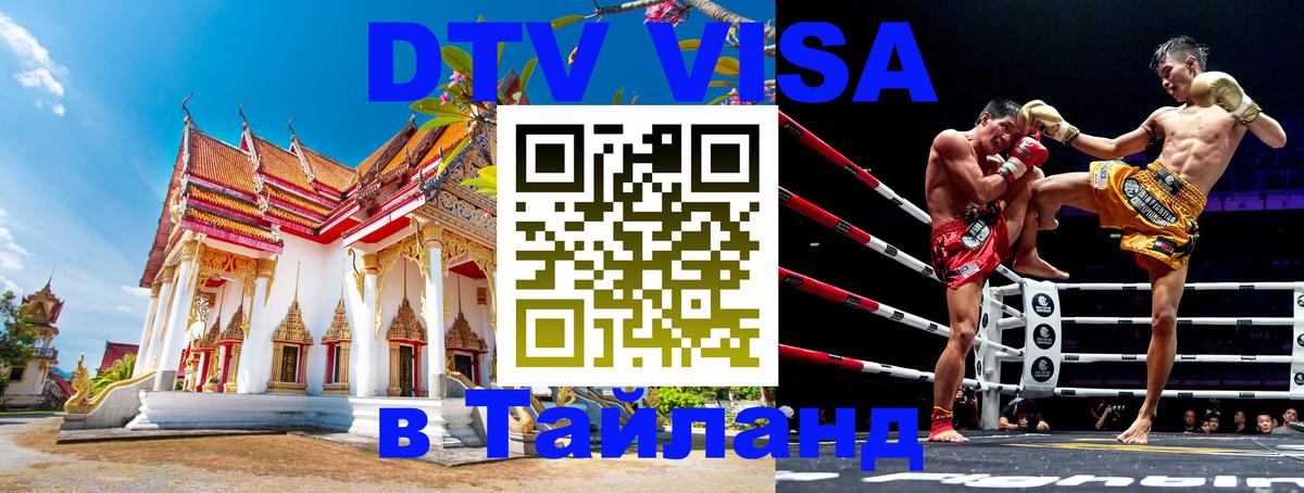 Сколько стоит DTV виза — актуальные цены, оформление даже без документов - 21.11.2025 